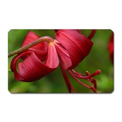 Lilium Red Velvet Magnet (rectangular) by trendistuff