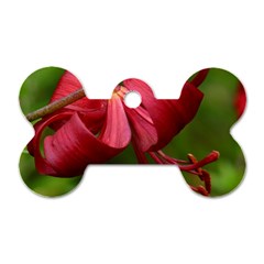 Lilium Red Velvet Dog Tag Bone (two Sides) by trendistuff