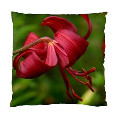 Lilium Red Velvet Standard Cushion Cases (two Sides)  by trendistuff