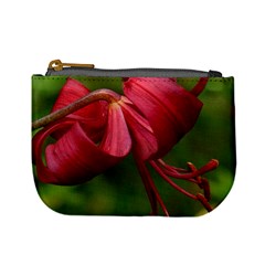 Lilium Red Velvet Mini Coin Purses by trendistuff