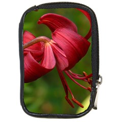 Lilium Red Velvet Compact Camera Cases