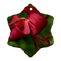 Lilium Red Velvet Ornament (snowflake)  by trendistuff