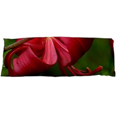 Lilium Red Velvet Body Pillow Cases (dakimakura)  by trendistuff