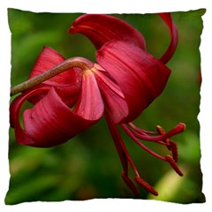 Lilium Red Velvet Large Cushion Cases (one Side)  by trendistuff