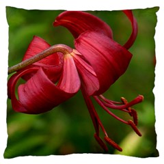 Lilium Red Velvet Large Cushion Cases (two Sides)  by trendistuff