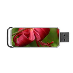 Lilium Red Velvet Portable Usb Flash (one Side) by trendistuff