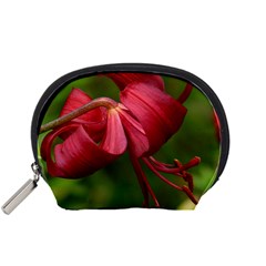 Lilium Red Velvet Accessory Pouches (small)  by trendistuff