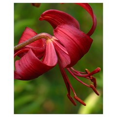 Lilium Red Velvet Drawstring Bag (small) by trendistuff