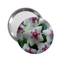 Hoyabella 2 25  Handbag Mirrors by trendistuff