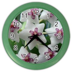 Hoyabella Color Wall Clocks by trendistuff