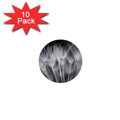 Dandelion 1  Mini Magnet (10 Pack)  by trendistuff