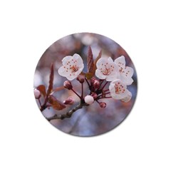 Cherry Blossoms Magnet 3  (round) by trendistuff