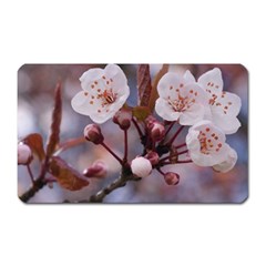 Cherry Blossoms Magnet (rectangular) by trendistuff
