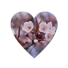 Cherry Blossoms Heart Magnet by trendistuff