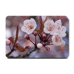 Cherry Blossoms Small Doormat  by trendistuff