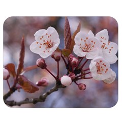 Cherry Blossoms Double Sided Flano Blanket (medium)  by trendistuff