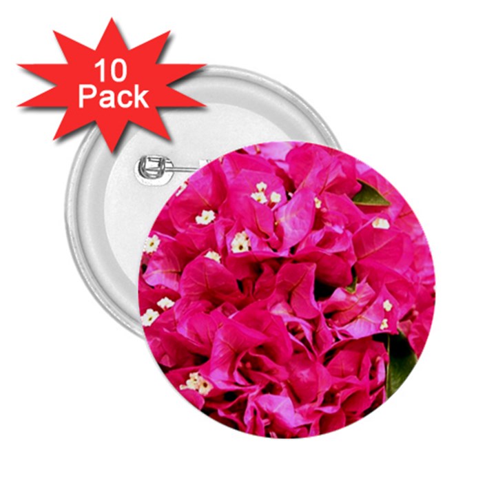 BOUGAINVILLEA 2.25  Buttons (10 pack) 