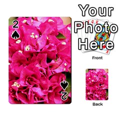 Bougainvillea Playing Cards 54 Designs  by trendistuff