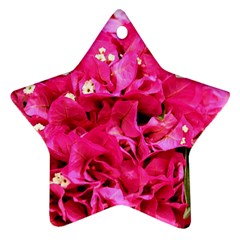 Bougainvillea Star Ornament (two Sides) 