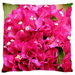 Bougainvillea Large Cushion Cases (two Sides)  by trendistuff