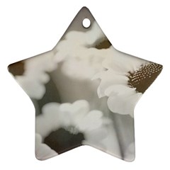 Black And White Flower Star Ornament (two Sides)  by trendistuff