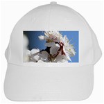 APRICOT BLOSSOMS White Cap