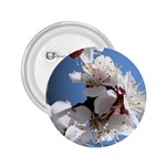 APRICOT BLOSSOMS 2.25  Buttons