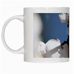 APRICOT BLOSSOMS White Mugs