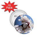 APRICOT BLOSSOMS 1.75  Buttons (10 pack)