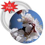 APRICOT BLOSSOMS 3  Buttons (10 pack) 