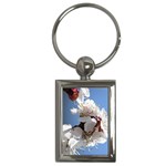 APRICOT BLOSSOMS Key Chains (Rectangle) 