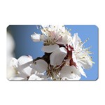 APRICOT BLOSSOMS Magnet (Rectangular)