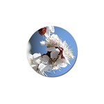 APRICOT BLOSSOMS Golf Ball Marker (4 pack)