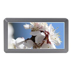 Apricot Blossoms Memory Card Reader (mini) by trendistuff