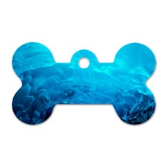 Mendenhall Ice Caves 3 Dog Tag Bone (one Side) by trendistuff