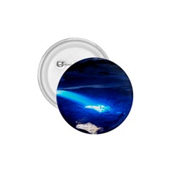 Chapada Diamantina 4 1 75  Buttons by trendistuff