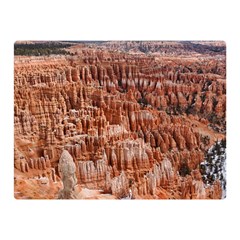 Bryce Canyon Amp Double Sided Flano Blanket (mini)  by trendistuff