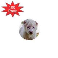 White Lion Cub 1  Mini Magnets (100 Pack)  by trendistuff