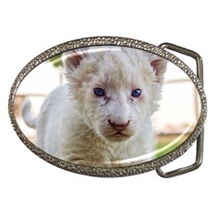 White Lion Cub Belt Buckles by trendistuff