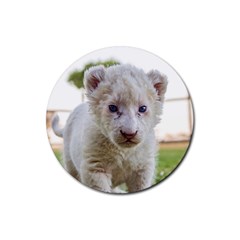 White Lion Cub Rubber Coaster (round)  by trendistuff