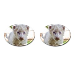 White Lion Cub Cufflinks (oval) by trendistuff