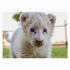 White Lion Cub Large Glasses Cloth by trendistuff