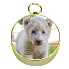 White Lion Cub Gold Compasses by trendistuff