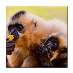 Two Monkeys Tile Coasters by trendistuff