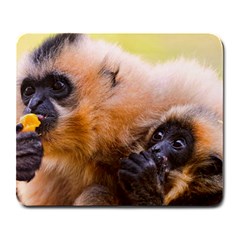 Two Monkeys Large Mousepads by trendistuff