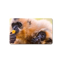 Two Monkeys Magnet (name Card) by trendistuff