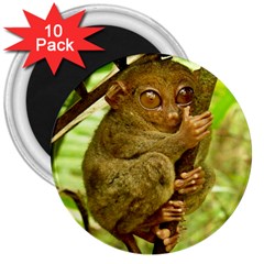 Tarsier 3  Magnets (10 Pack)  by trendistuff