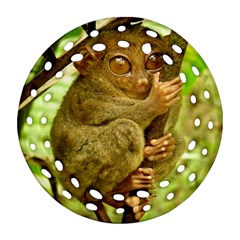 Tarsier Ornament (round Filigree)  by trendistuff