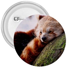 Red Panda 3  Buttons by trendistuff