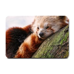 Red Panda Small Doormat  by trendistuff